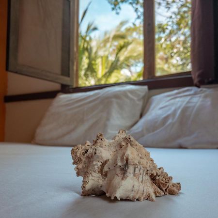 Uvita River Guesthouse ภายนอก รูปภาพ