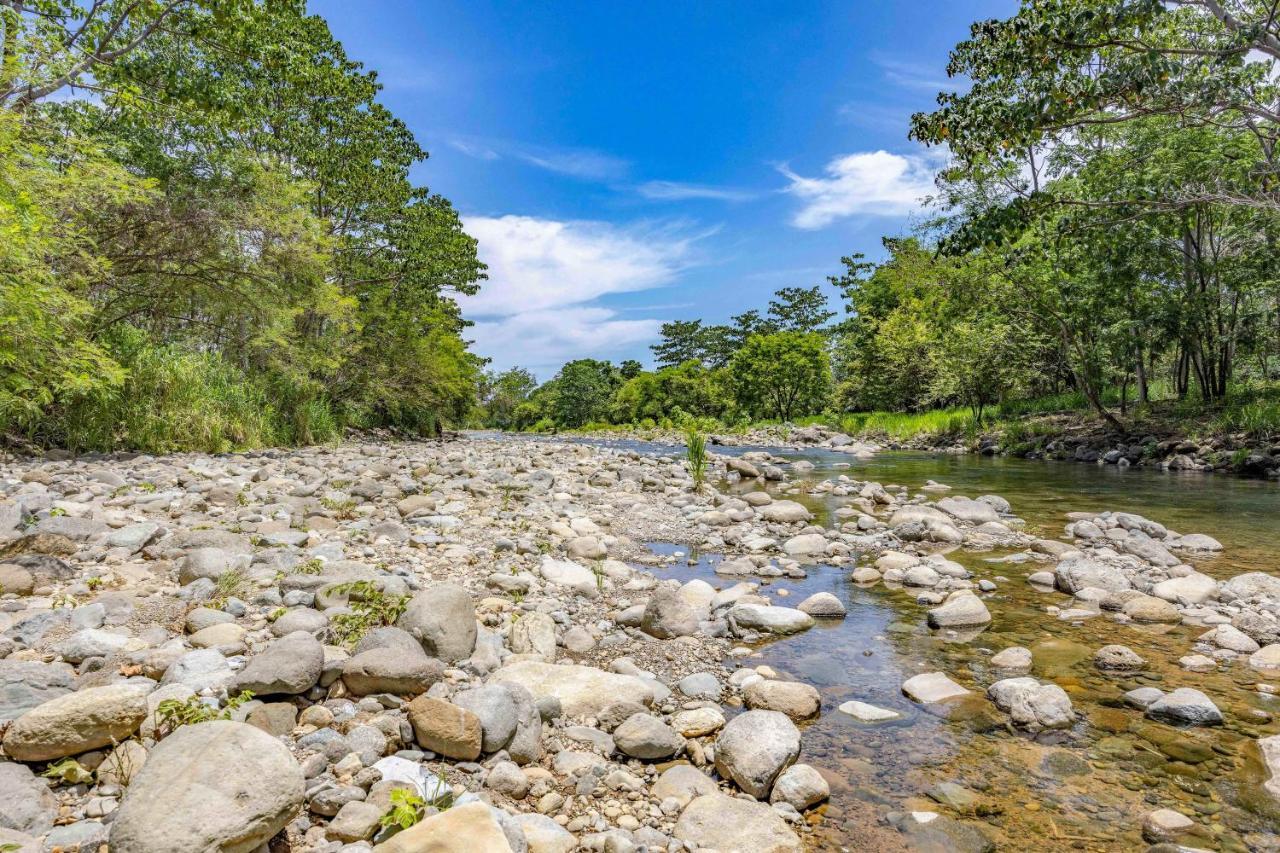 Uvita River Guesthouse ภายนอก รูปภาพ